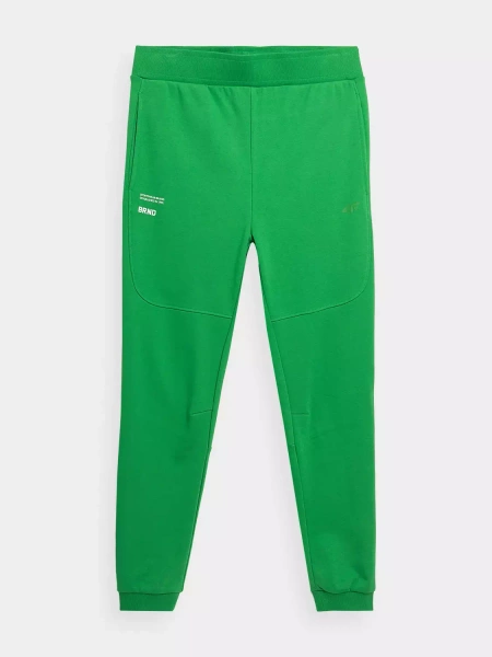 Spodnie dresowe męskie 4F 4FSS23TTROM143-41S