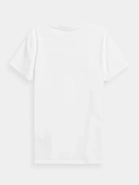 Koszulka męska 4F 4FSS23TTSHM537-10S