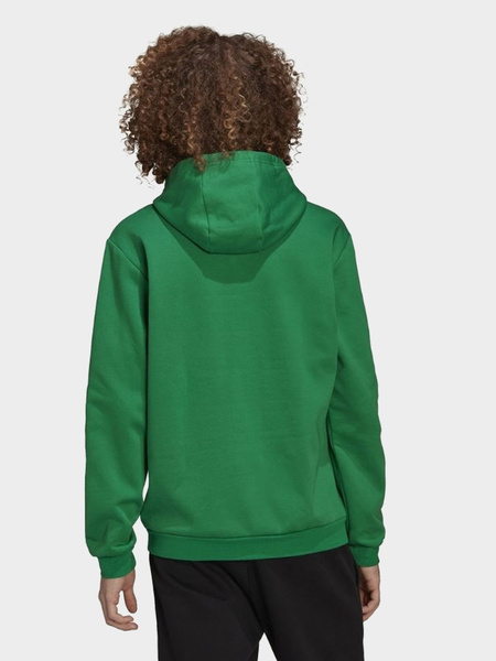 Bluza męska z kapturem adidas ENT22 HOODY HI2141