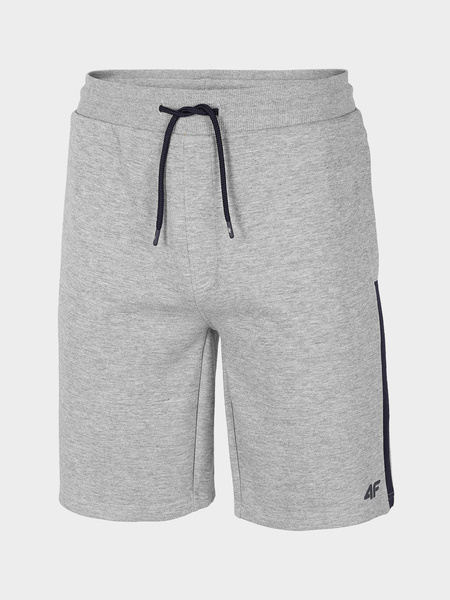 Spodenki męskie 4F H4L21-SKMD010-25M