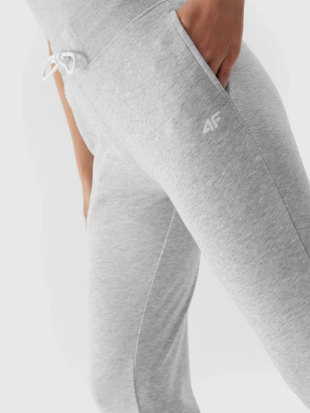 Spodnie dresowe damskie 4F 4FAW23TTROF474-27M 