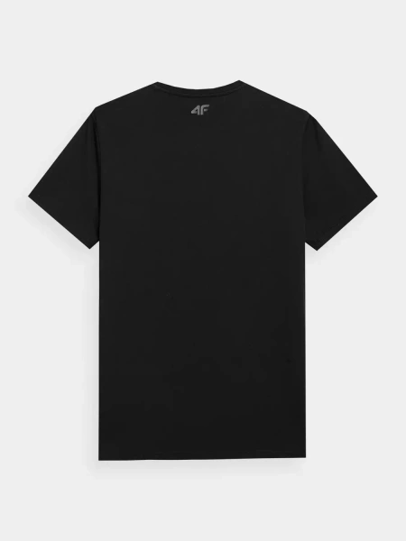Koszulka męska 4F 4FSS23TTSHM306-20S