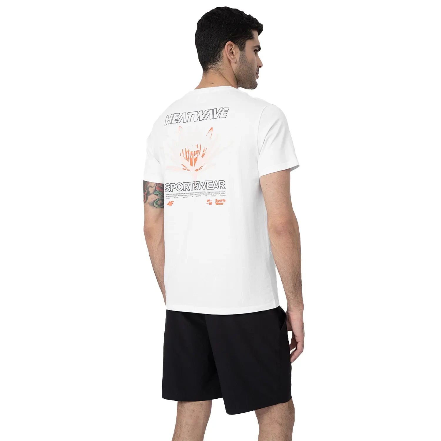 Koszulka męska 4F 4FSS23TTSHM355-10S