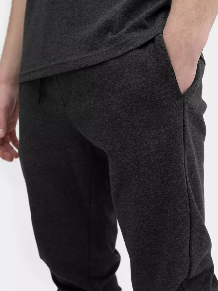 Spodnie dresowe męskie 4F 4FSS23TTROM223-23M