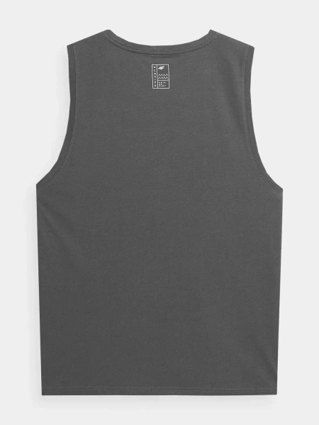 Koszulka męska 4F 4FSS23TTSHM368-22S