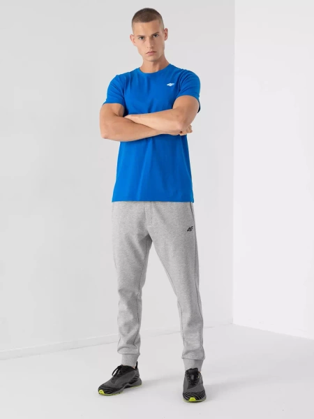 Koszulka męska 4F 4FAW22TTSHM707-33S