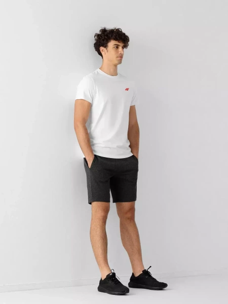 Koszulka męska 4F 4FAW22TTSHM707-10S