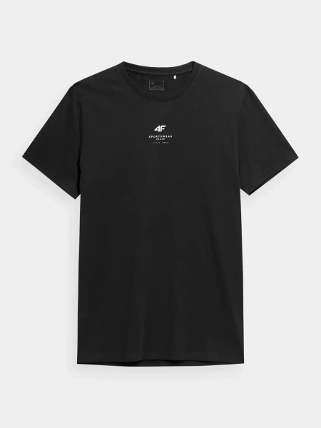 Koszulka męska 4F 4FSS23TTSHM363-20S