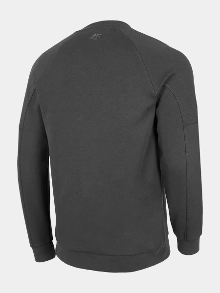 Bluza męska 4F H4Z22-BLM019-22S