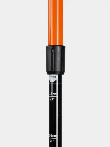 Kije trekkingowe BERGSON BTP-01 