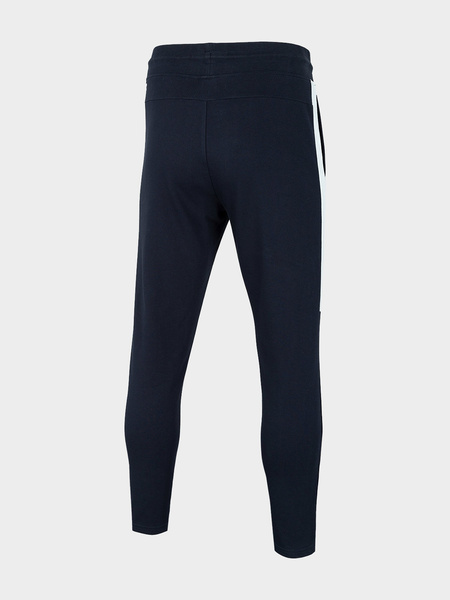 Spodnie dresowe męskie 4F H4L21-SPMD013-30S