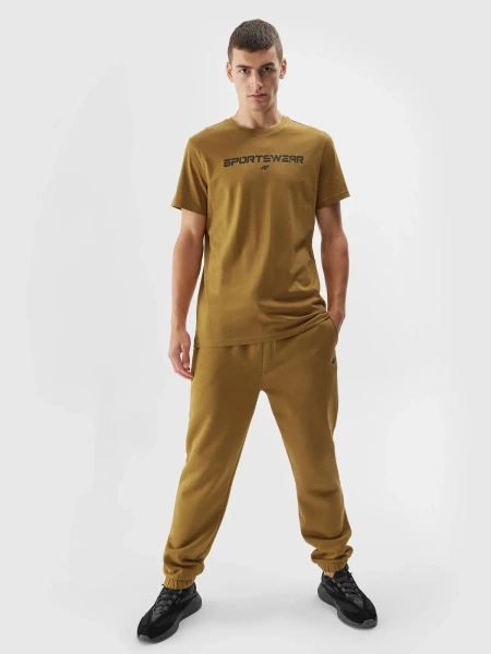 Koszulka męska  4F 4FAW23TTSHM0950-74S 