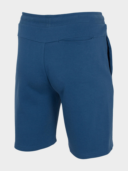 Spodenki męskie 4F H4L22-SKMD350-32S