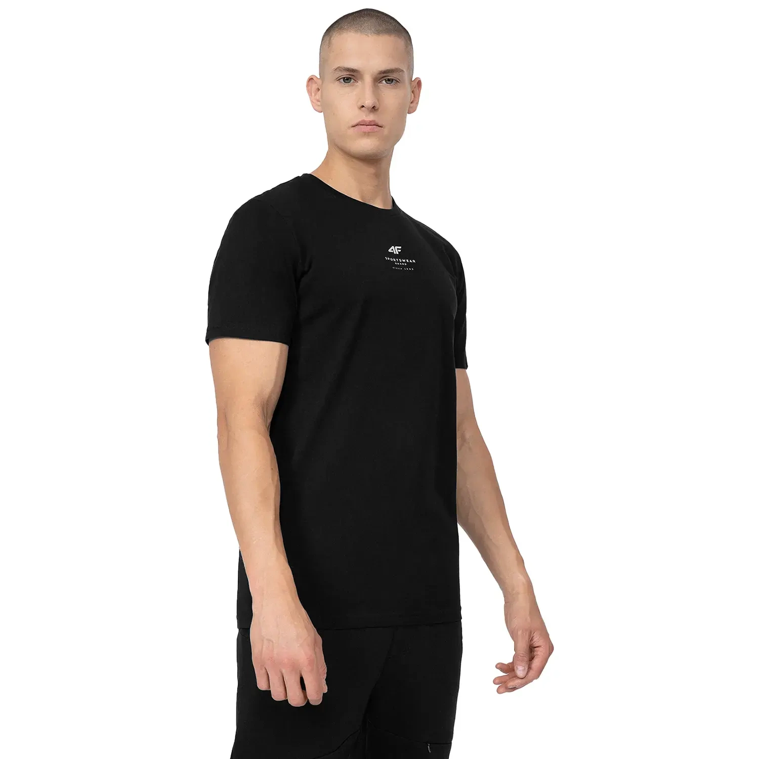 Koszulka męska 4F 4FSS23TTSHM363-20S