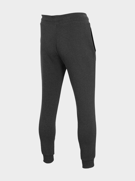 Spodnie dresowe męskie 4F H4L22-SPMD350-23M