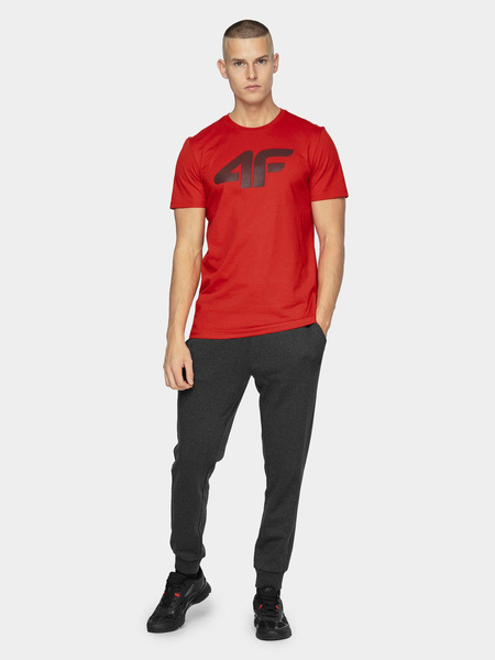 Koszulka męska 4F NOSH4-TSM353-62S