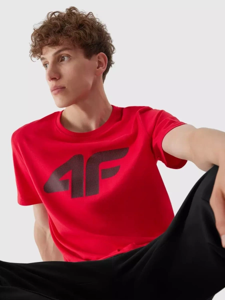 Koszulka męska 4F 4FAW23TTSHM0877-62S