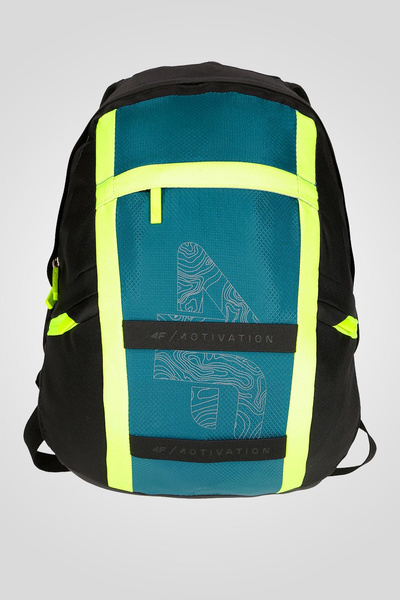 Plecak dziecięcy 4F J4L19-JPCM400-46S