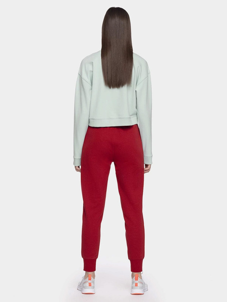 Spodnie dresowe damskie 4F NOSH4-SPDD002-62S