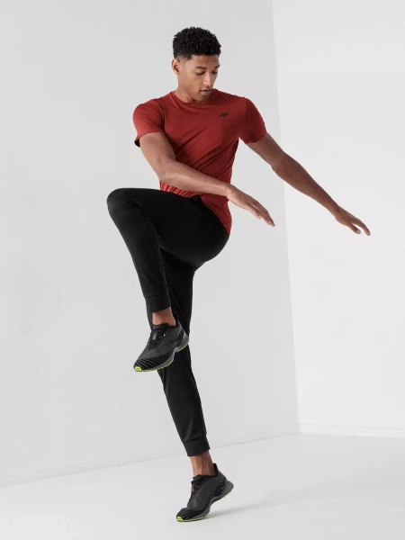 Koszulka męska 4F 4FSS23TFTSM260-62M