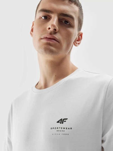 Koszulka męska 4F 4FAW23TTSHM0951-10S