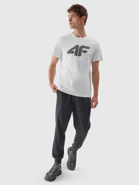 Koszulka męska 4F 4FWSS24TTSHM1155-10S 