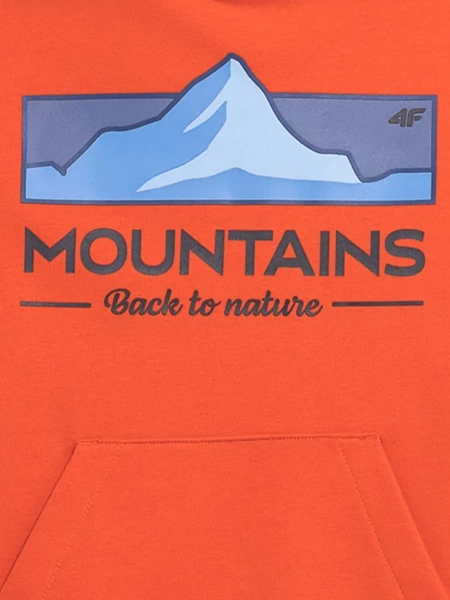 Bluza dziecięca z kapturem 4F 4FJAW23TSWSM634-70S 