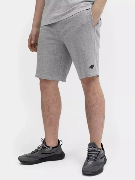 Spodenki męskie 4F 4FSS23TSHOM156-27M