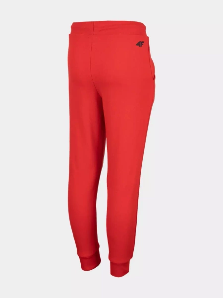 Spodnie dresowe dziecięce 4F HJZ22-JSPMD001-62S