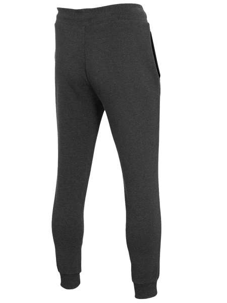 Spodnie dresowe męskie 4F H4Z22-SPMD350-23M