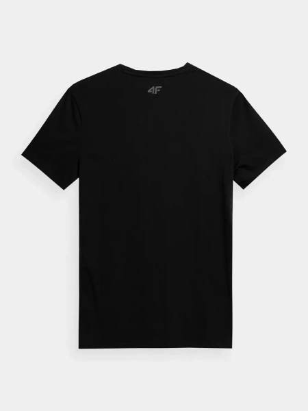 Koszulka męska 4F 4FSS23TTSHM362-20S