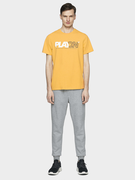 Koszulka męska 4F H4L21-TSM013-73S