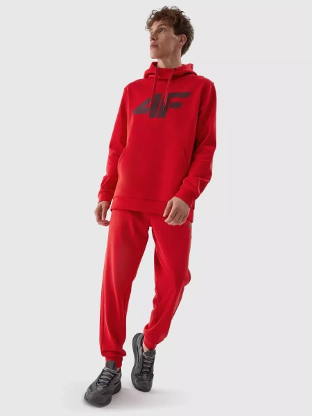 Bluza męska z kapturem 4F 4FAW23TSWSM694-62S 