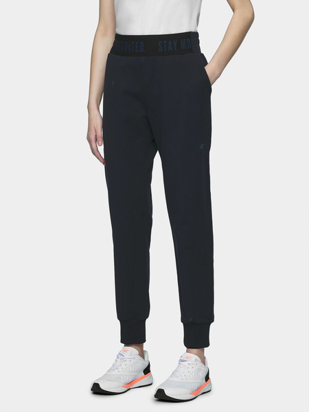 Spodnie dresowe damskie 4F H4L21-SPDD013-31S