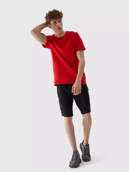 Koszulka męska 4F 4FAW23TTSHM0876-62S