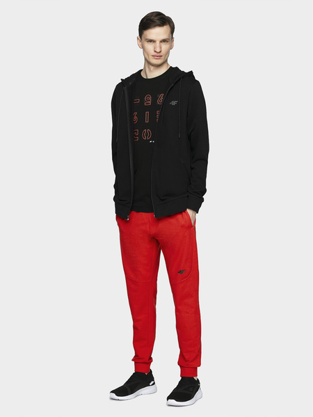 Spodnie dresowe męskie 4F H4L21-SPMD011-62S