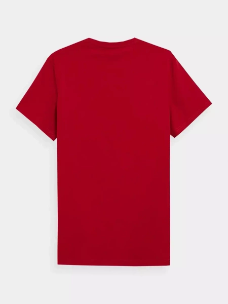 Koszulka męska 4F 4FSS23TTSHM539-62S