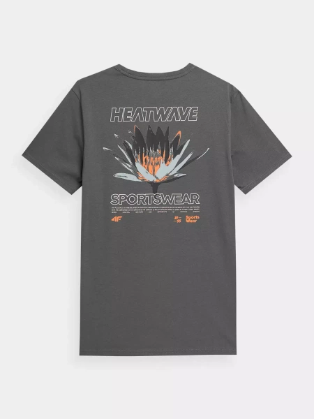 Koszulka męska 4F 4FSS23TTSHM355-22S
