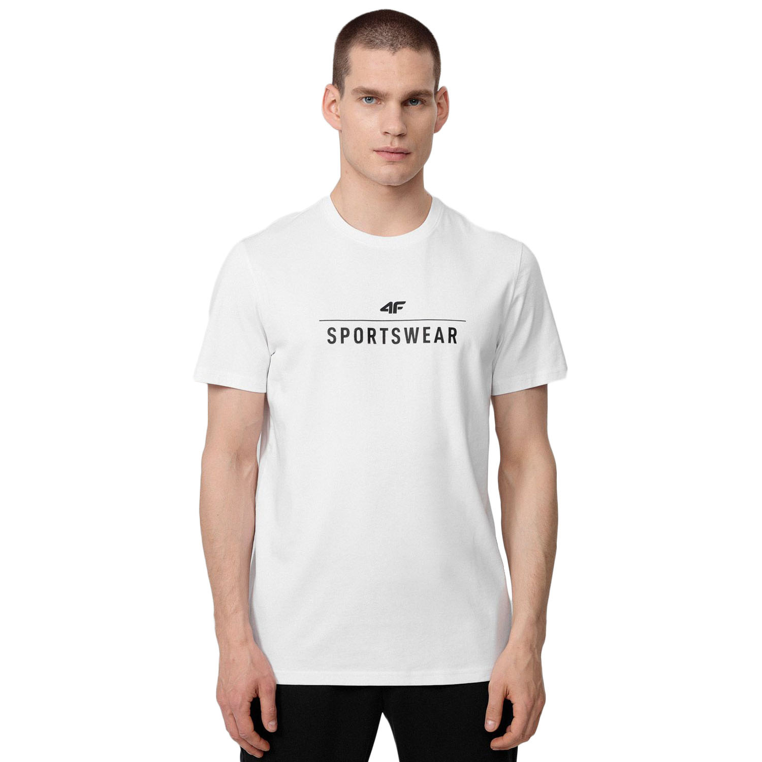 Koszulka męska 4F H4L22-TSM354-10S
