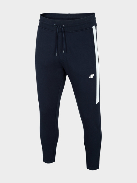 Spodnie dresowe męskie 4F H4L21-SPMD013-30S