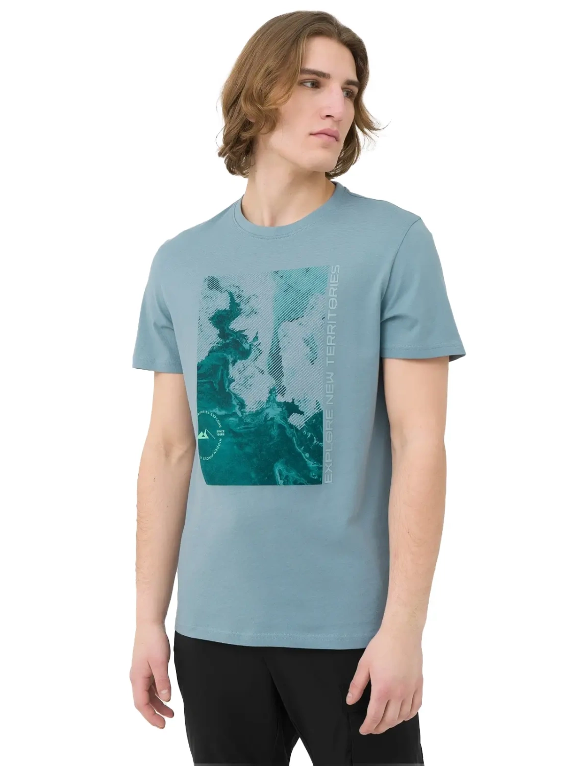 Koszulka męska 4F 4FSS23TTSHM485-34S