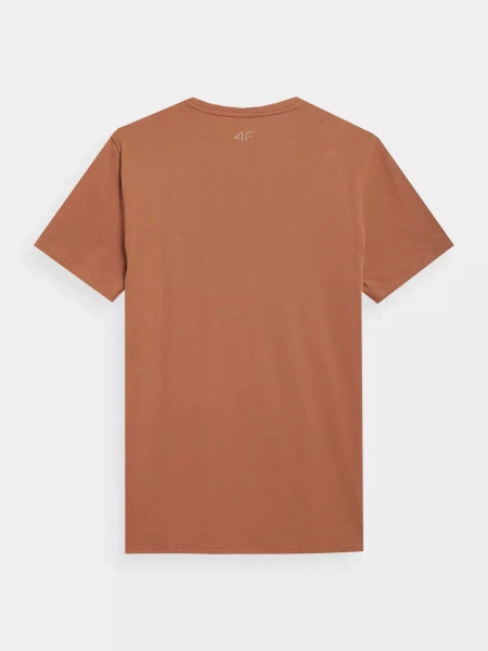Koszulka męska 4F 4FSS23TTSHM363-81S
