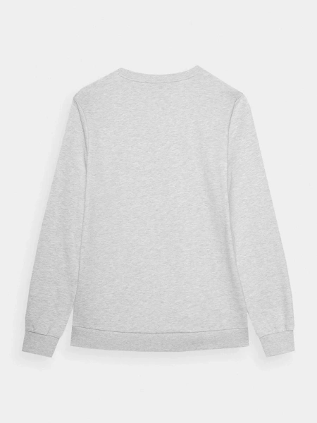 Bluza męska 4F 4FWMM00TSWSM1465-27M