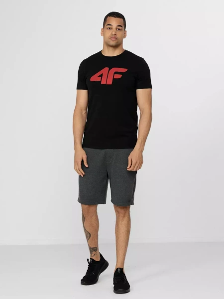 Koszulka męska 4F H4Z22-TSM353-21S