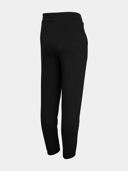 Spodnie dresowe dziecięce 4F HJZ22-JSPDD002-20S