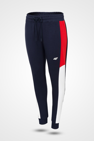 Spodnie dresowe damskie 4F H4Z19-SPDD004-30S