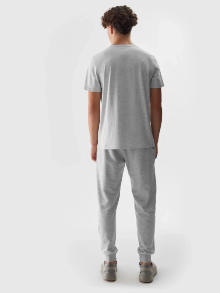 Spodnie dresowe męskie 4F 4FWSS24TTROM603-27M