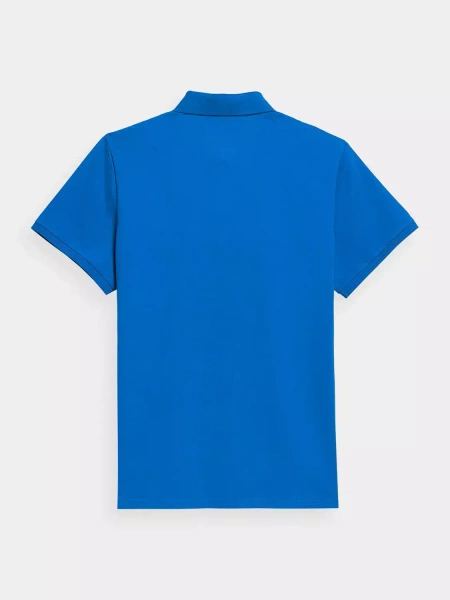 Koszulka męska 4F 4FSS23TPTSM038-33S