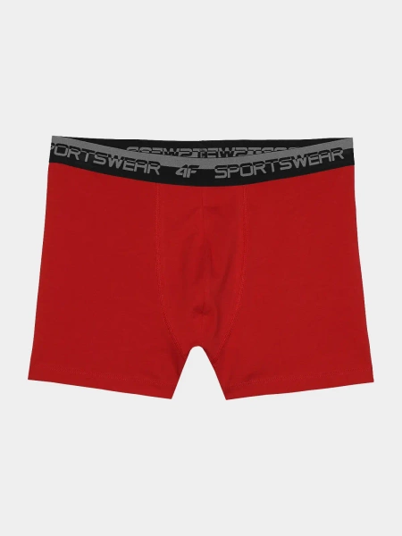 Bokserki męskie 4F 4FWSS24UBXSM036-31S 2-PAK