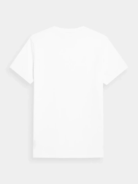 Koszulka męska 4F 4FSS23TTSHM305-10S